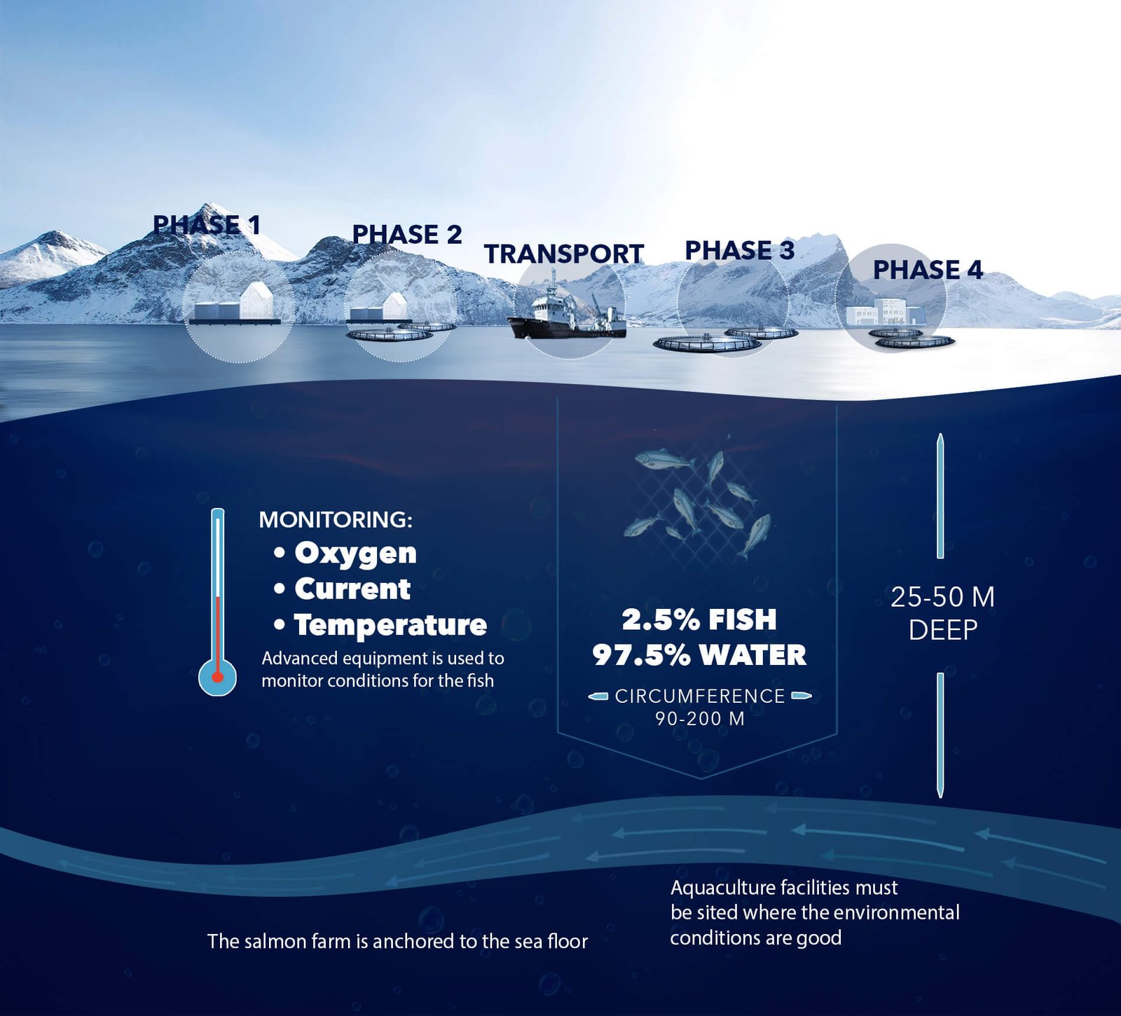 ATLANTIC SALMON LIFE CYCLE